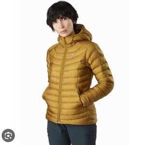 Arc'teryx Cerium LT Hoody